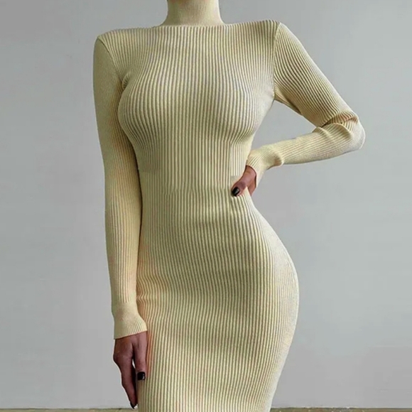 Ladies turtleneck knit, autumn long sleeve dress. - Picture 4 of 4